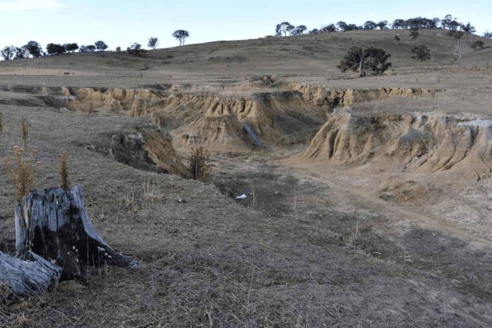 Erosion control